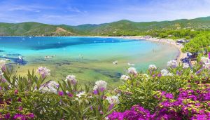 Villa Napoleone al Mare |  -  - 