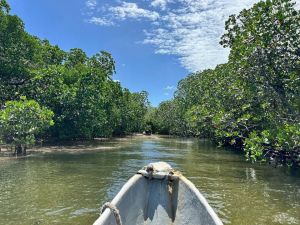 Lodge Mida Creek |  -  - 