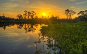 Lodge Mida Creek |  -  - 