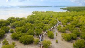 Lodge Mida Creek |  -  - 