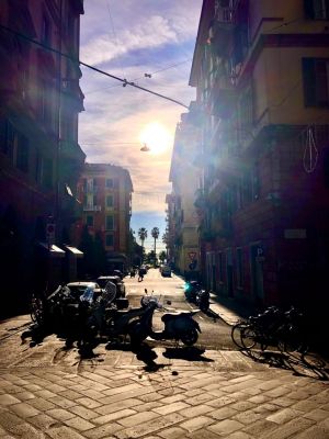 Il Nido di lusso di La Spezia  |  -  - 