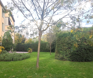 Appartamento Charmant |  -  - 