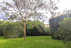 Appartamento Charmant |  -  - 