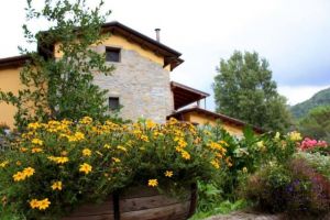Antico Podere 1793  |  -  - 