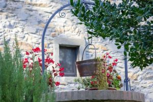 Antico Podere 1793  |  -  - 