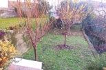 Appartamento Giulia |  -  - 