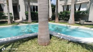 A Due Passi dal Paradiso |  -  - 