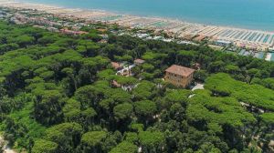 Villa Michelangelo |  -  - 