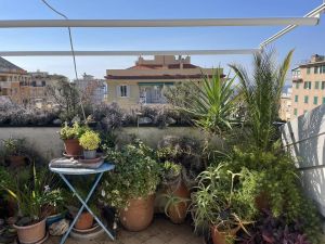 Attico Chiavari |  -  - 
