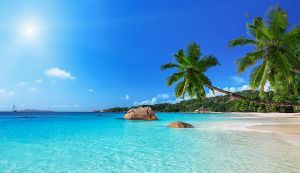 Appartments Suite Nami Kira |  -  - 