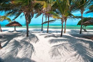 Appartments Suite Nami Kira |  -  - 