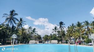 Appartamento Oasis Malindi |  -  - 