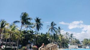 Appartamento Oasis Malindi |  -  - 