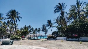 Appartamento Oasis Malindi |  -  - 