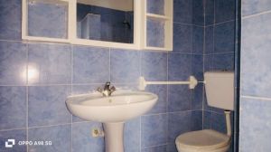 Appartamento Oasis Malindi |  -  - 