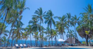 Appartamento Oasis Malindi |  -  - 