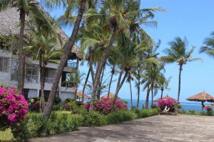 Appartamento Oasis Malindi |  -  - 