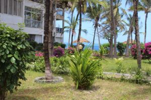 Appartamento Oasis Malindi |  -  - 