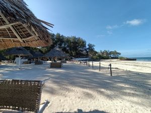 Appartamento Oasis Malindi |  -  - 