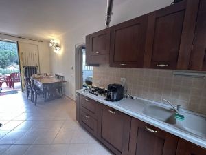 Villa Miro  |  -  - 