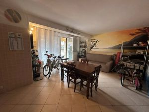Villa Miro  |  -  - 