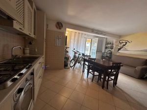 Villa Miro  |  -  - 