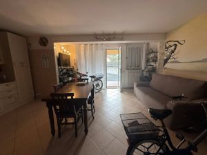 Villa Miro  |  -  - 