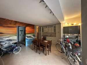 Villa Miro  |  -  - 