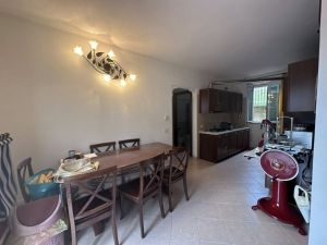 Villa Miro  |  -  - 