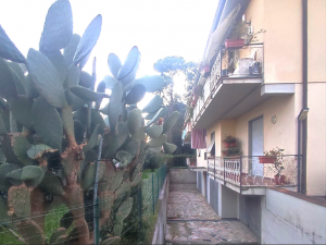 Appartamento Firenze  |  -  - 