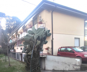 Appartamento Firenze  |  -  - 