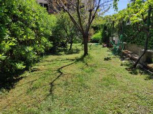 La Casa a 50 Metri dal Mare |  -  - 