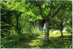 La Casa a 50 Metri dal Mare |  -  - 