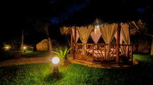 Villa Watamu Beach |  -  - 