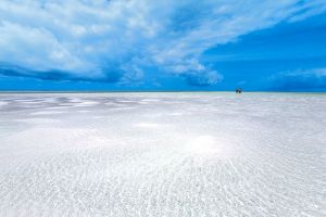 Villa Watamu Beach |  -  - 