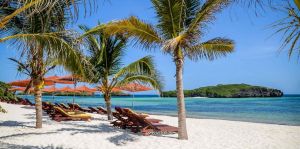Villa Watamu Beach |  -  - 