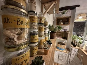 Antico Casale Santa Maria del Mare |  -  - 
