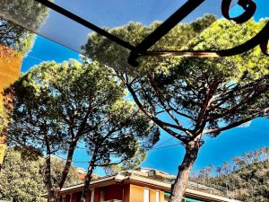 Appartamento Laura |  -  - 