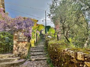 Antico Casale Paradiso |  -  - 