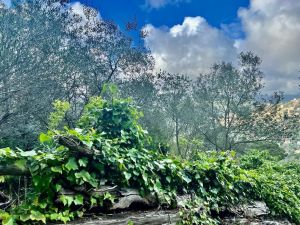 Antico Casale Paradiso |  -  - 
