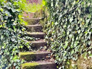 Antico Casale Paradiso |  -  - 