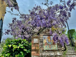 Antico Casale Paradiso |  -  - 