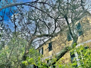 Antico Casale Paradiso |  -  - 