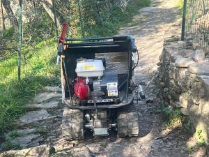 Antico Casale Paradiso |  -  - 