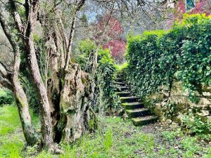 Antico Casale Paradiso |  -  - 