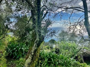Antico Casale Paradiso |  -  - 