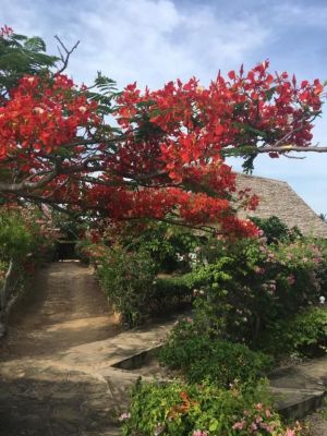 Villa Mayungu |  -  - 