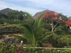 Villa Mayungu |  -  - 