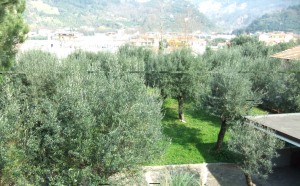 Villa Alpi Apuane  |  -  - 