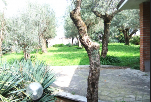 Villa Alpi Apuane  |  -  - 